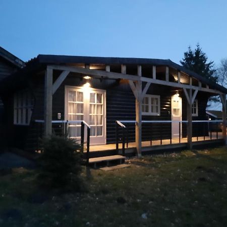 Chalet Het Wollinghuisje Vlagtwedde Εξωτερικό φωτογραφία