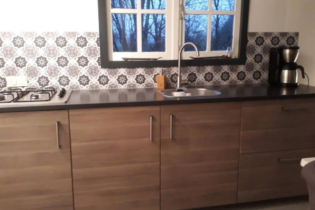 Chalet Het Wollinghuisje Vlagtwedde Εξωτερικό φωτογραφία