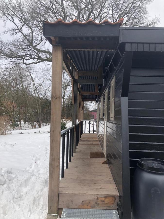 Chalet Het Wollinghuisje Vlagtwedde Εξωτερικό φωτογραφία