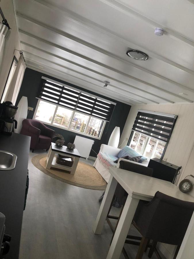 Chalet Het Wollinghuisje Vlagtwedde Εξωτερικό φωτογραφία