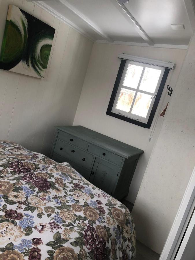 Chalet Het Wollinghuisje Vlagtwedde Εξωτερικό φωτογραφία